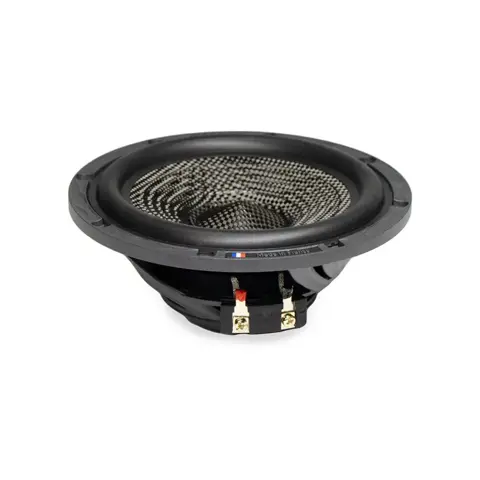 BLAM Woofer S6.45